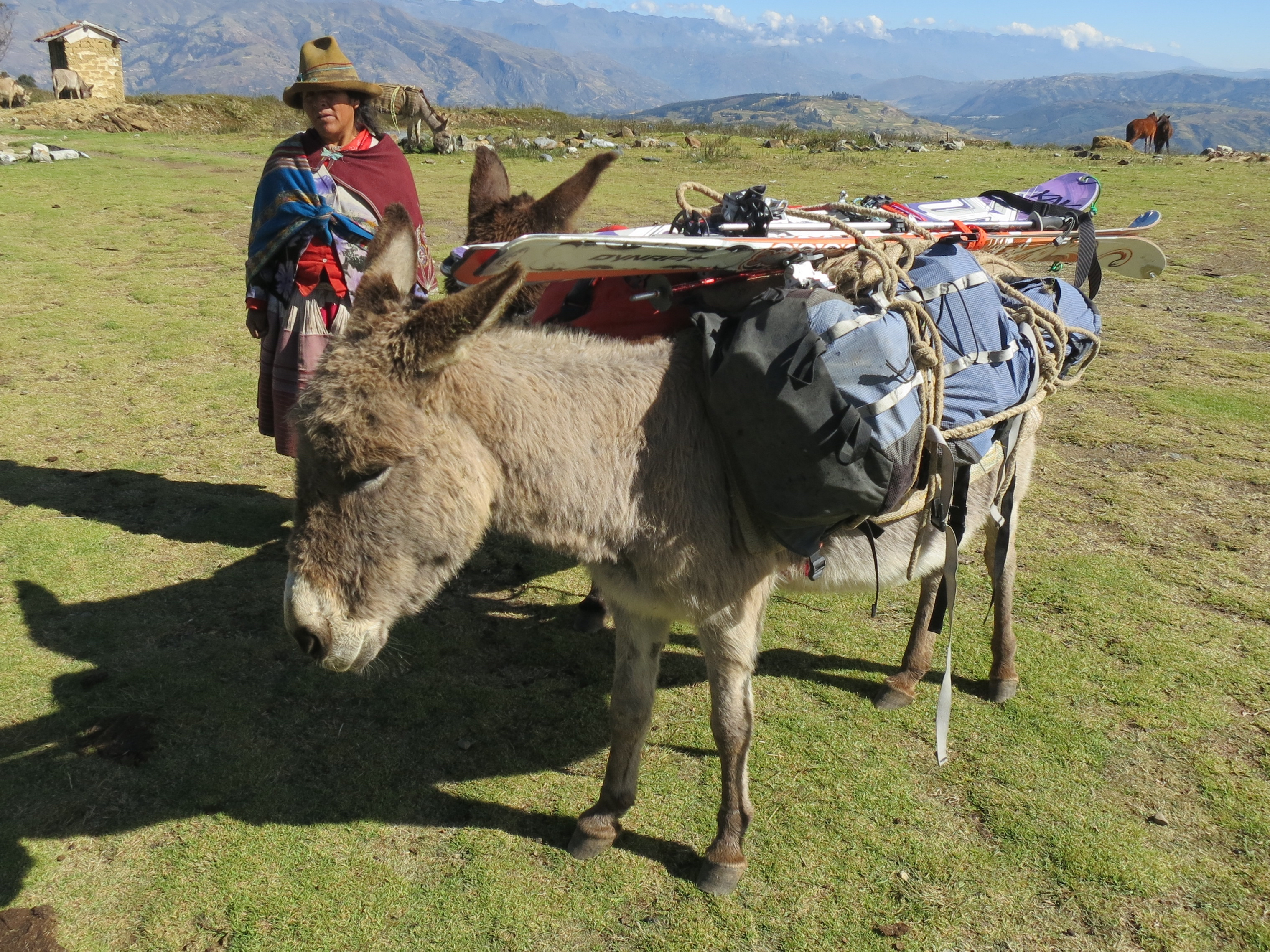 Donkeys loaded for the approach