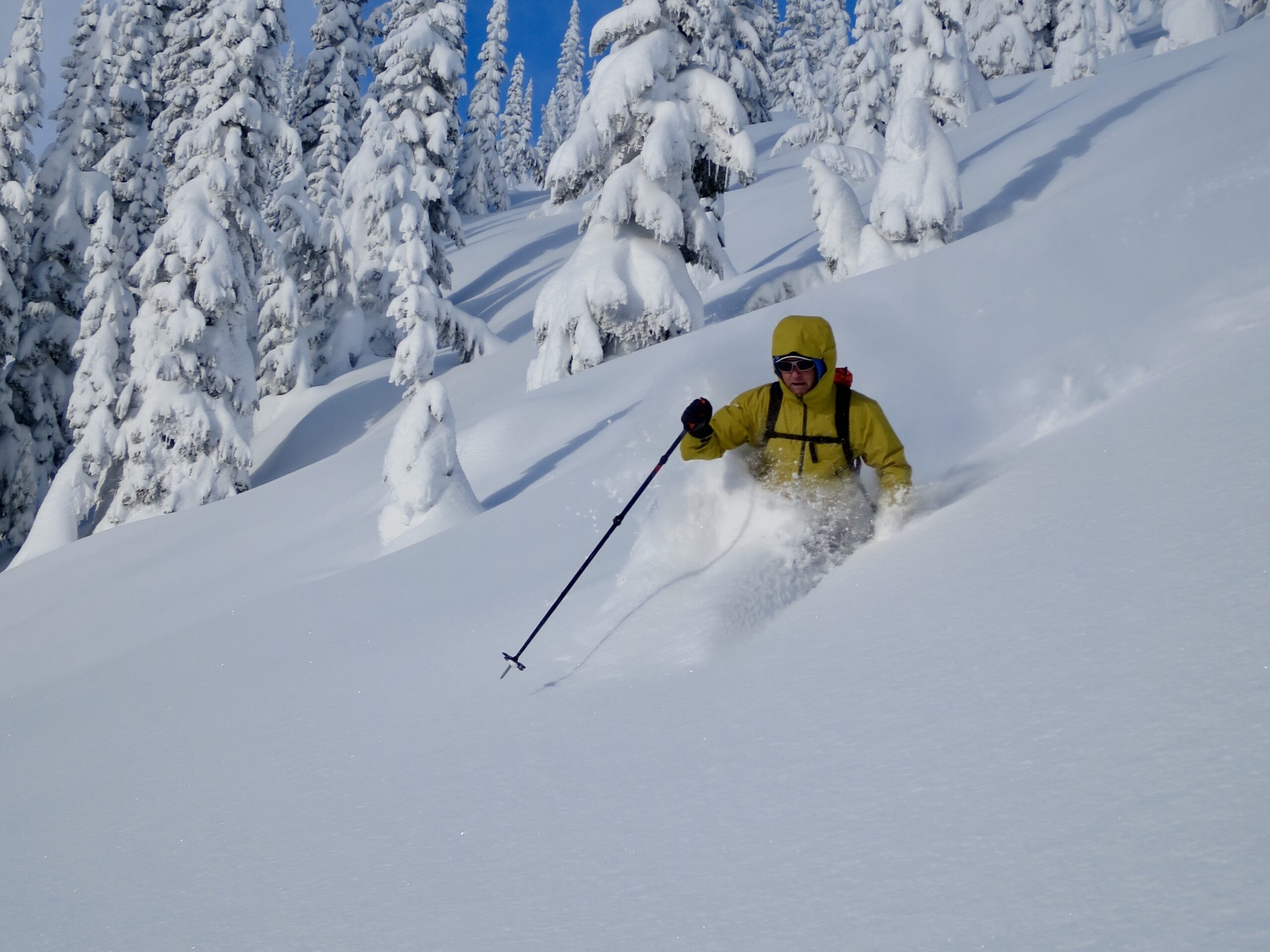 Advanced Avalanche Course on McGill